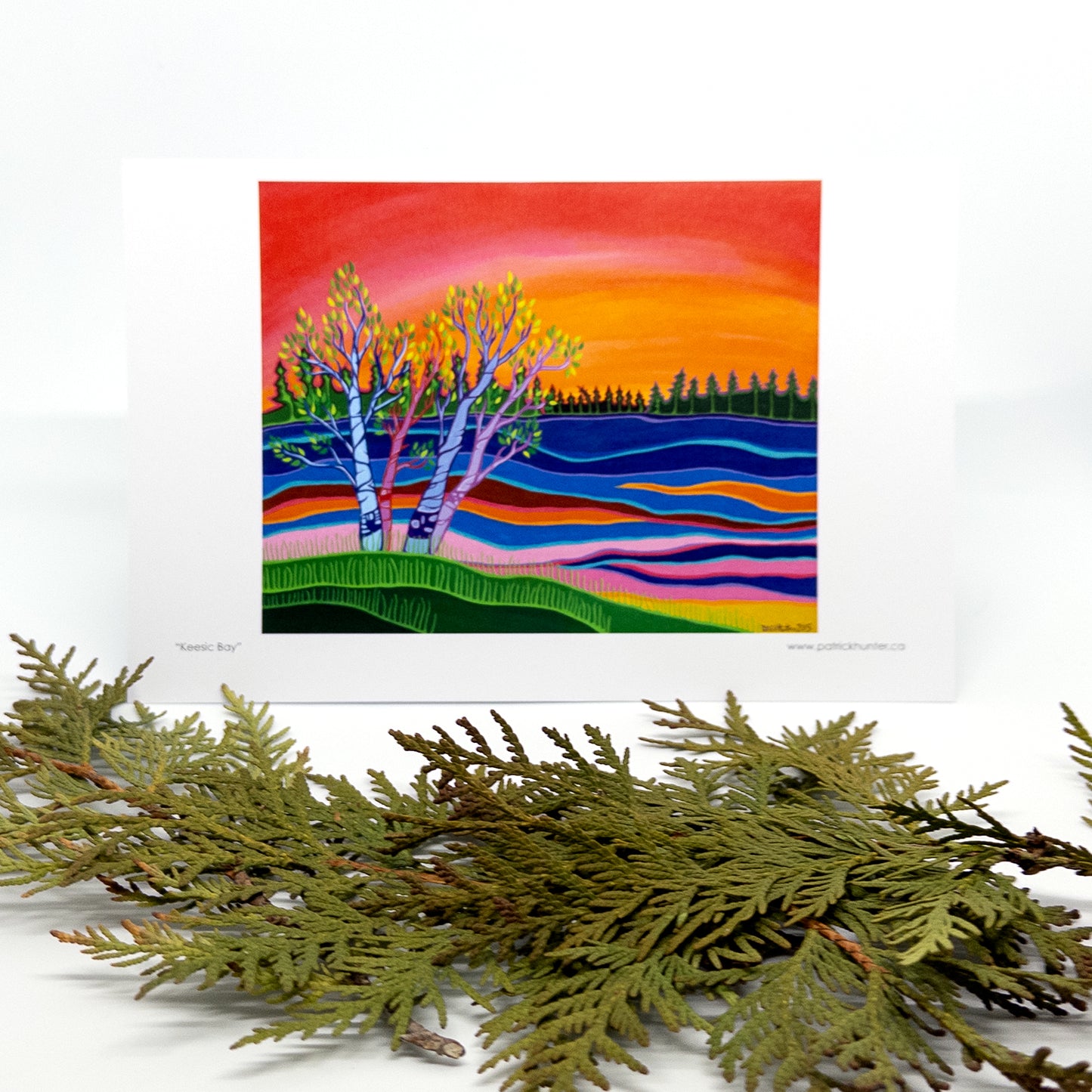 Patrick's painting of Keesic Bay in woodland art style as a greeting card standing behind some cedar boughs that lay flat.