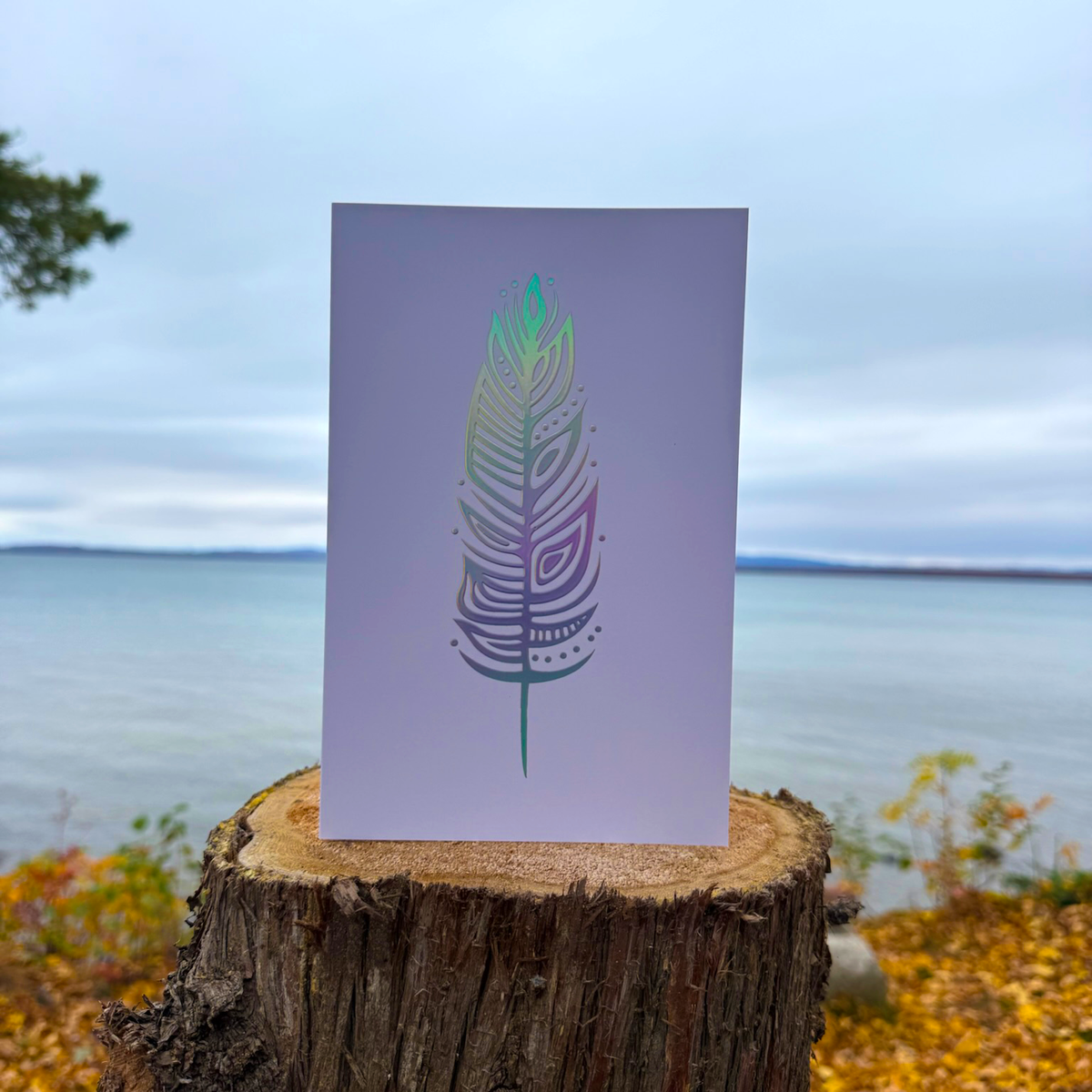 A greeting card with a woodland art style illustrated eagle feather. The feather has been treated with a holographic foil and reflects the light.