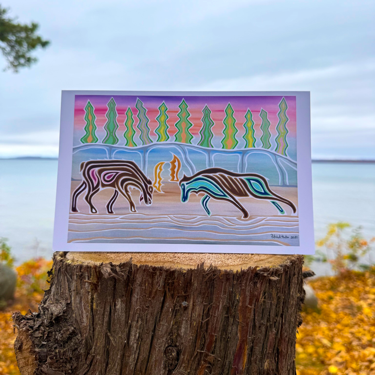 A greeting card with Patrick's woodland art style painting of two moose, heads down to engage antlers, against a colourful background.